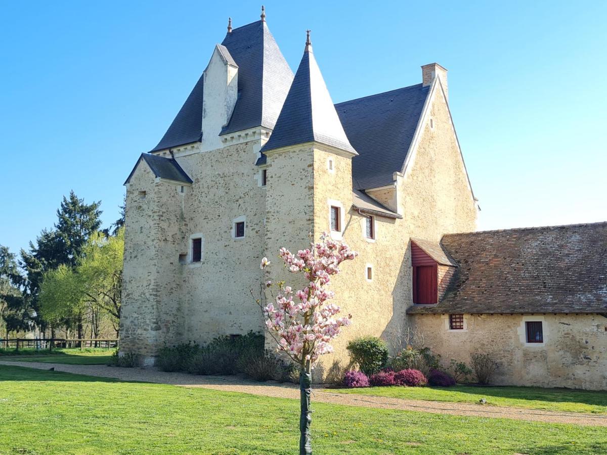 Manoir De La Beuneche - Location Du Manoir Entier Roeze-sur-Sarthe Zewnętrze zdjęcie