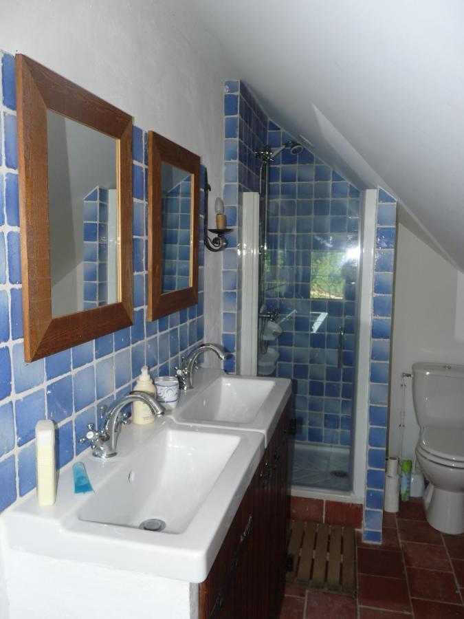 Manoir De La Beuneche - Location Du Manoir Entier Roeze-sur-Sarthe Zewnętrze zdjęcie