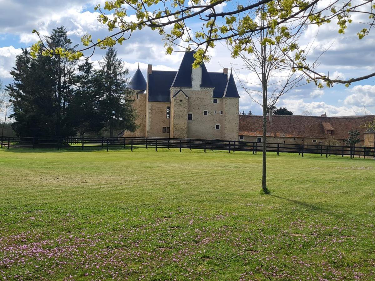 Manoir De La Beuneche - Location Du Manoir Entier Roeze-sur-Sarthe Zewnętrze zdjęcie